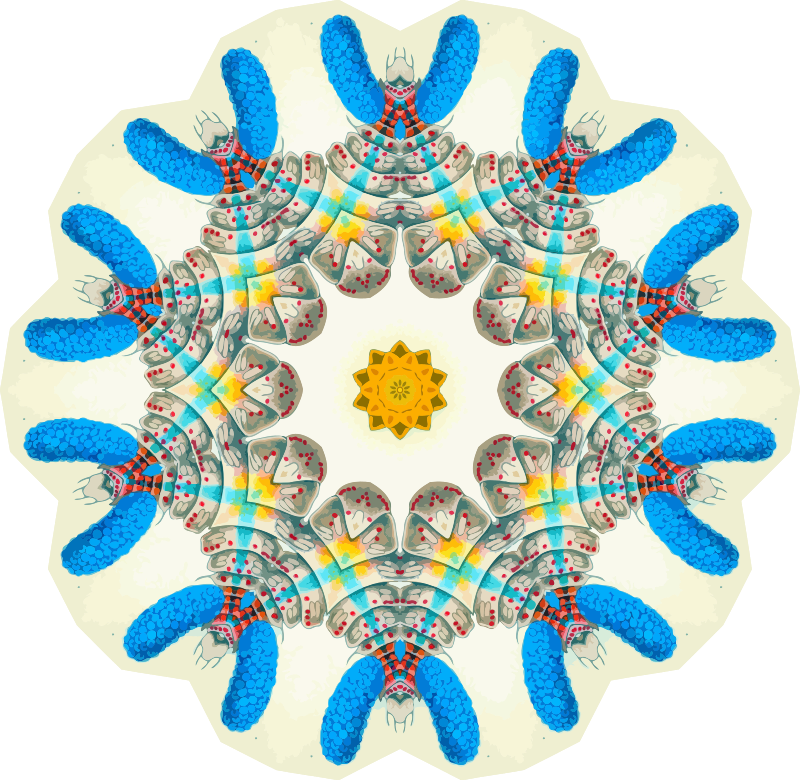 Copepoda 17