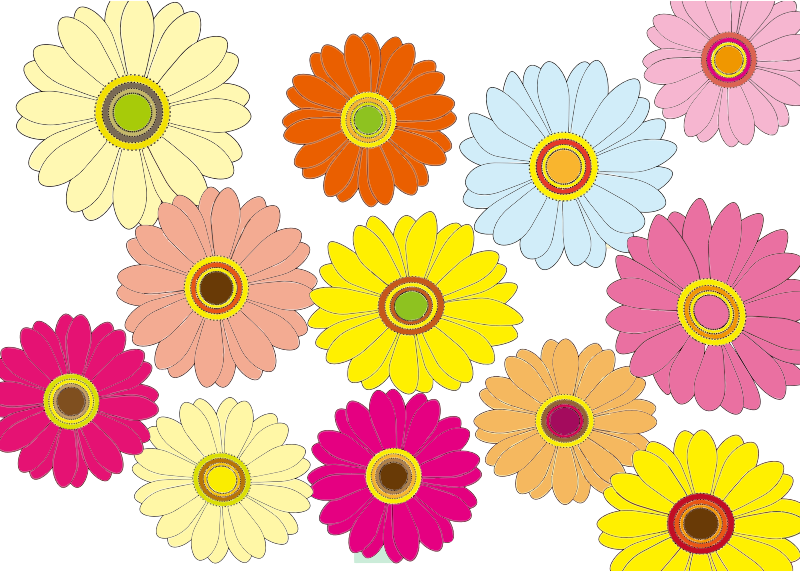 Multicolored Flowers