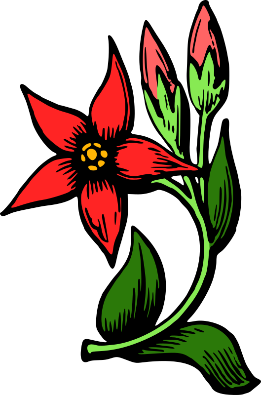 Flower 34 (colour)