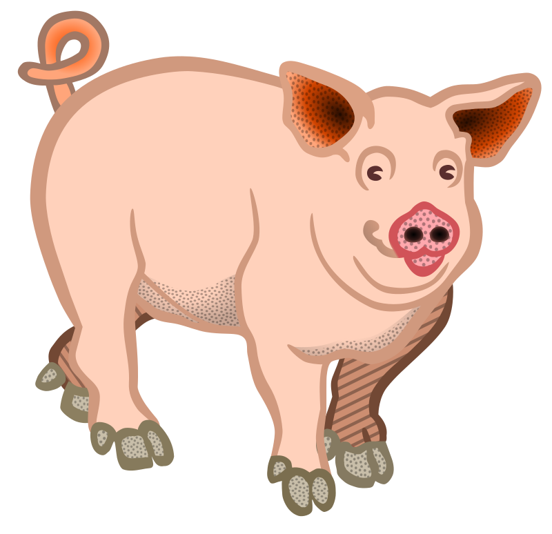 pig - coloured