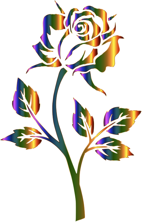 Chromatic Rose Silhouette No Background