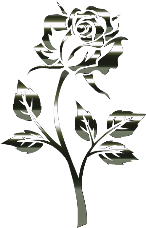 Polished Obsidian Rose Silhouette No Background