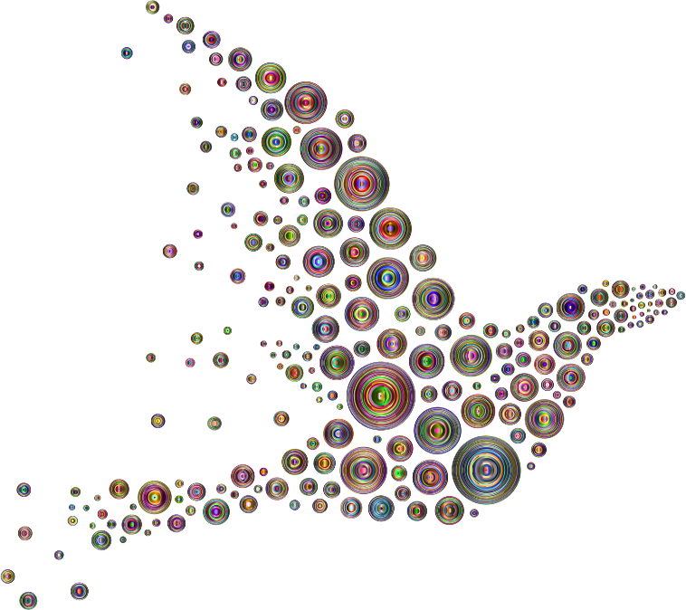 Psychedelic Circles Bird