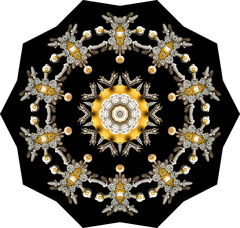 Echinidea 10