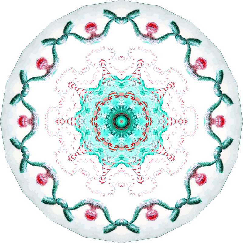 Siphonophorae 21