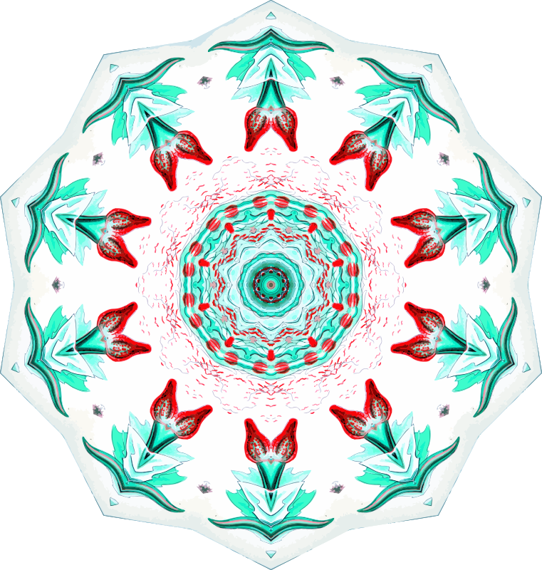 Siphonophorae 22
