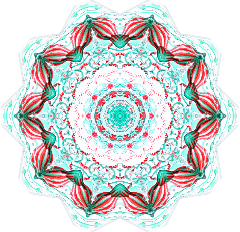 Siphonophorae 29
