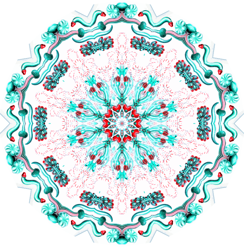 Siphonophorae 34