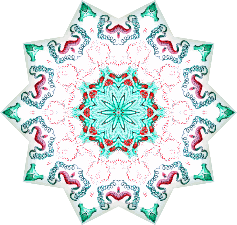Siphonophorae 39