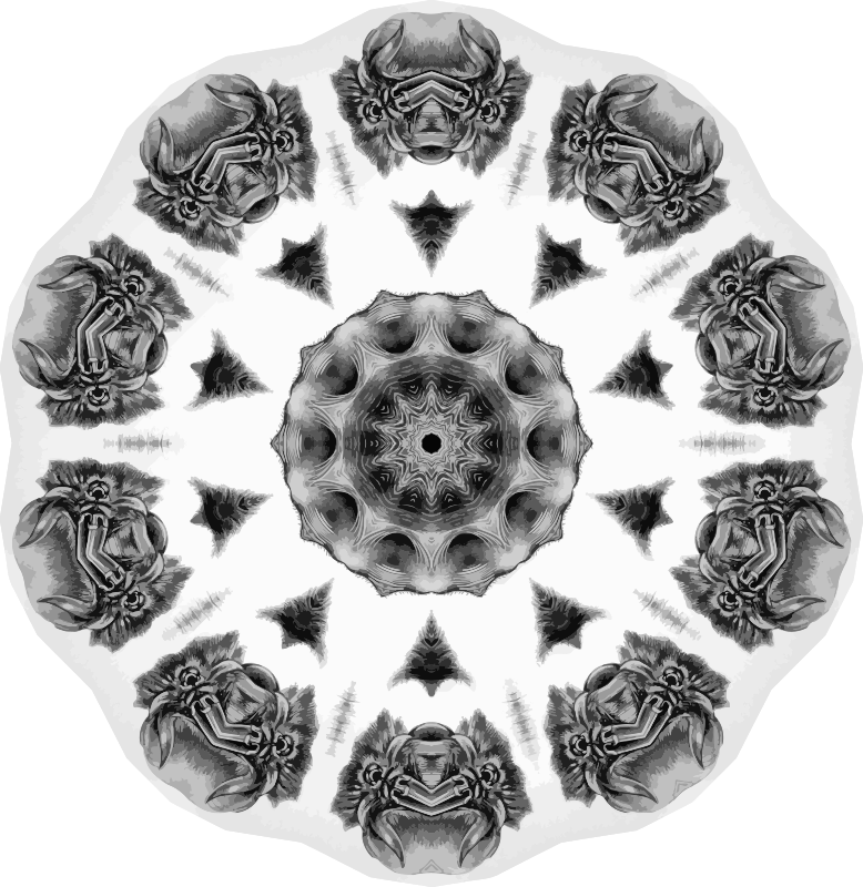 Chiroptera 2