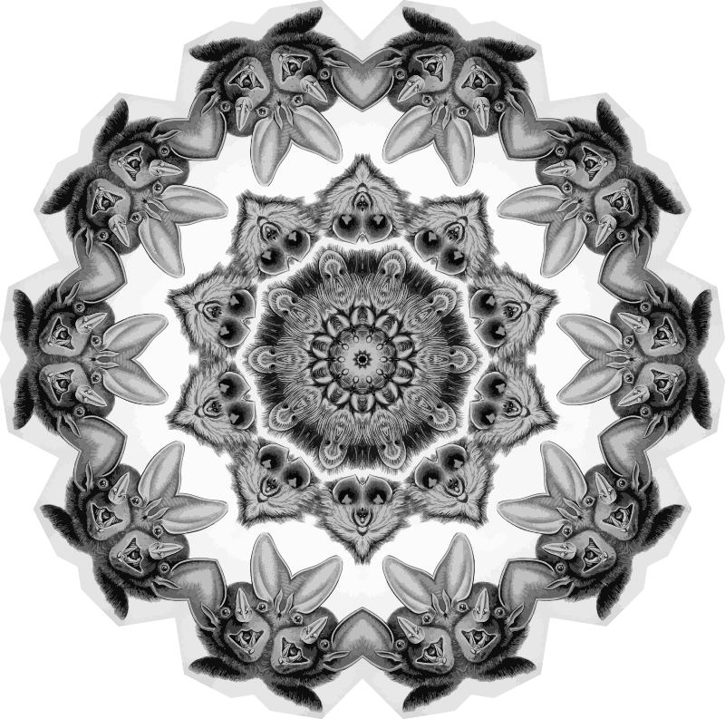 Chiroptera 18