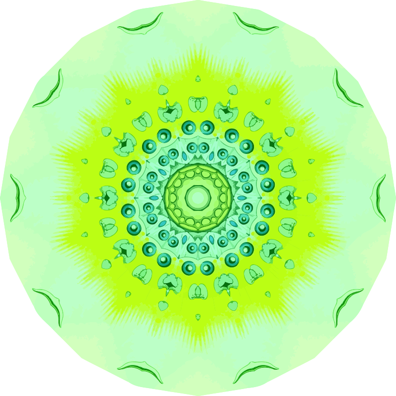 Polycyttaria 1