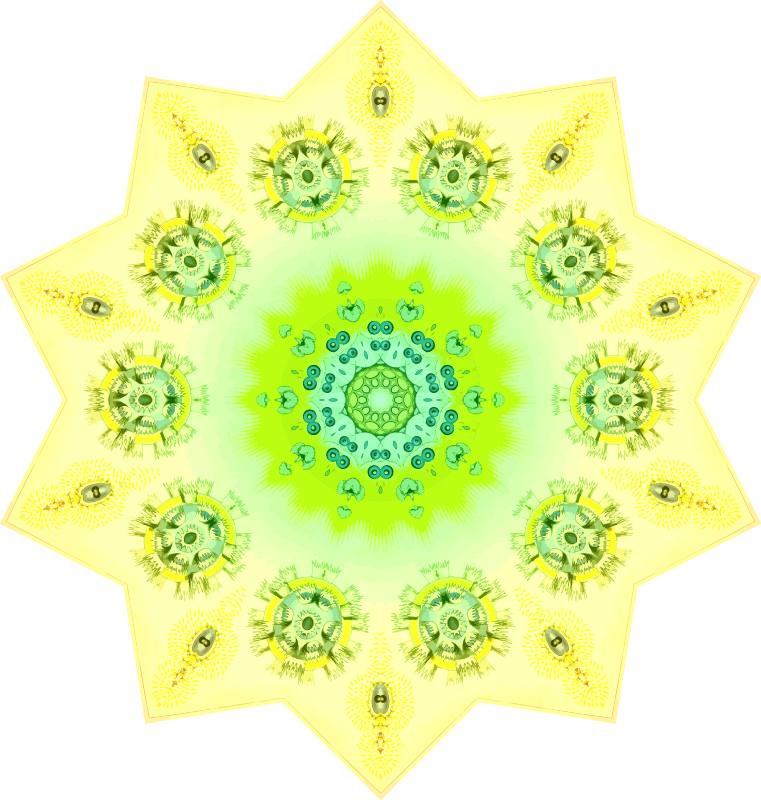 Polycyttaria 3