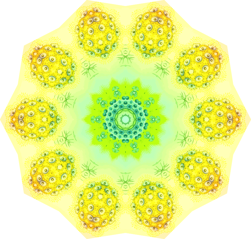 Polycyttaria 5