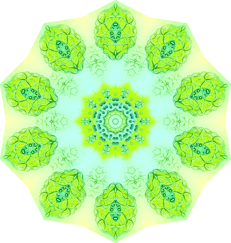 Polycyttaria 7