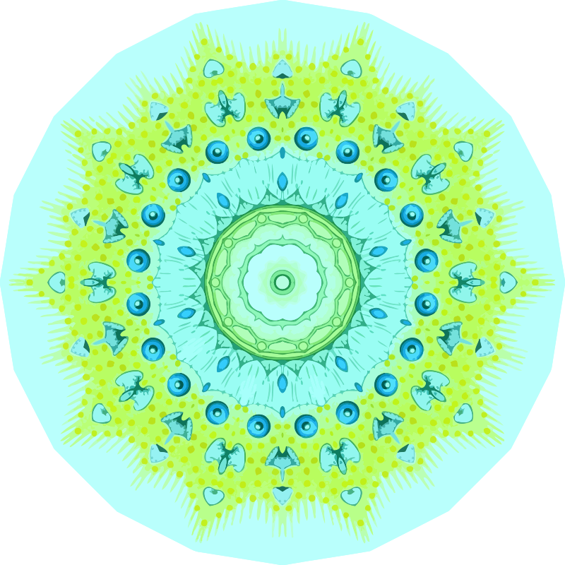 Polycyttaria 12
