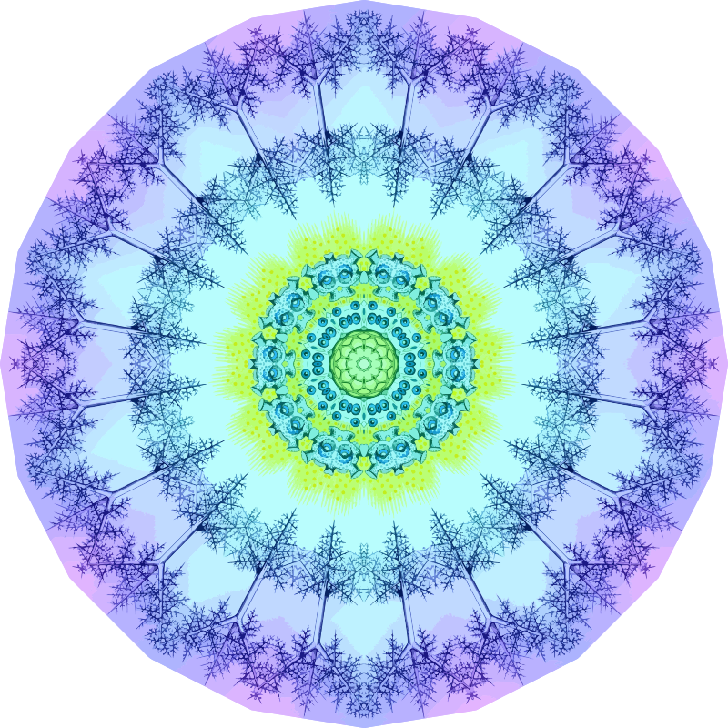 Polycyttaria 16