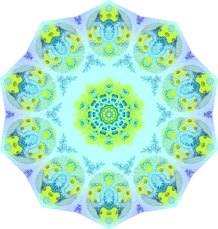 Polycyttaria 17