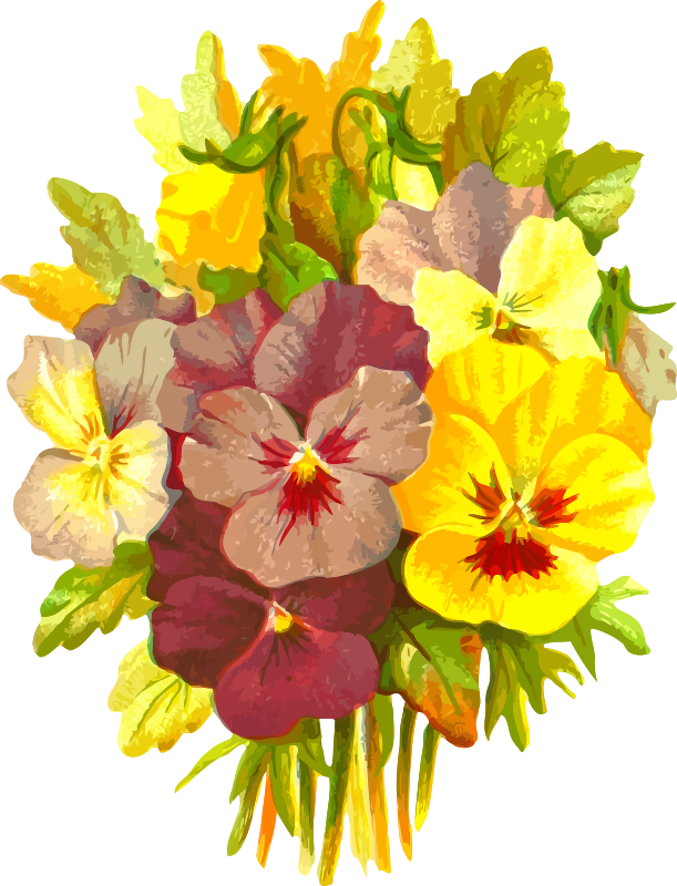 Pansies 2