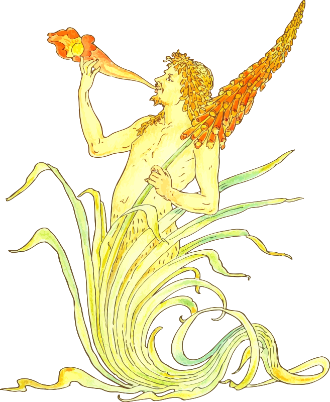 Flowery trumpeter