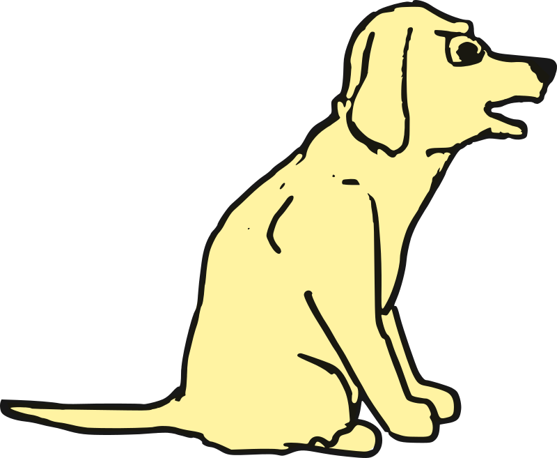 Agitated dog 3