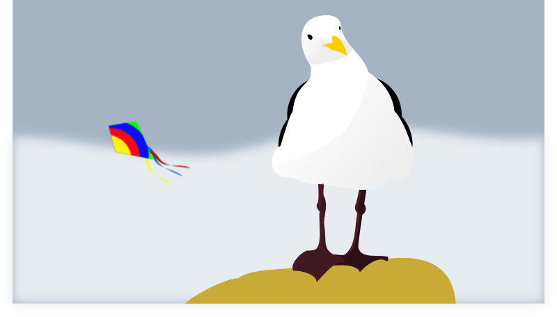 seagull