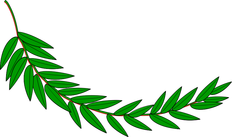 Branch