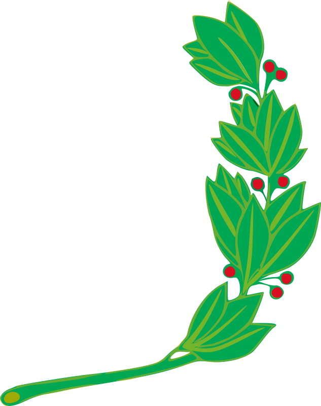 Branch 2