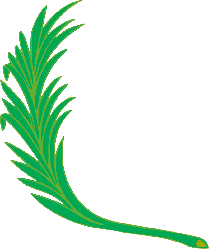 Branch 3