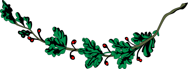 Oak branch