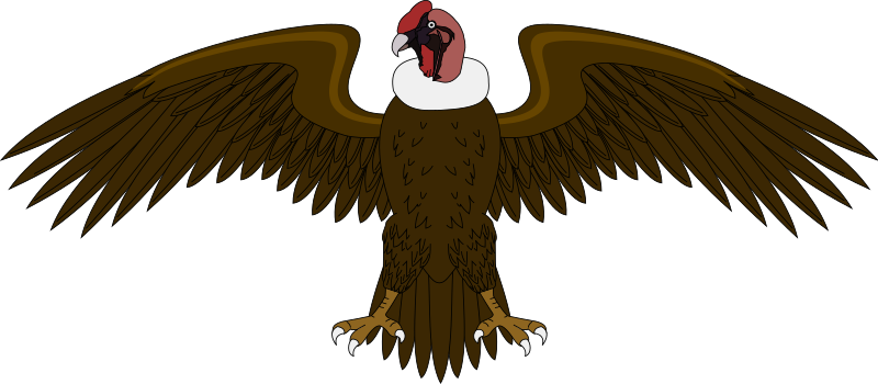 Condor 2