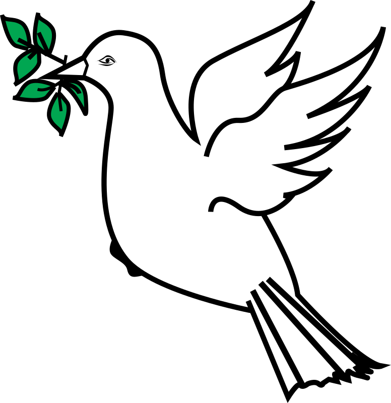 Dove and olive branch 3