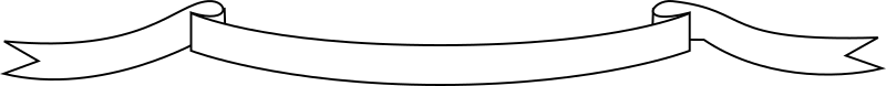 Banner 26