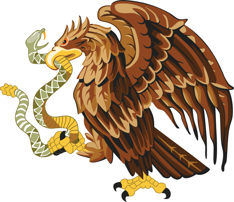 Golden eagle with snake