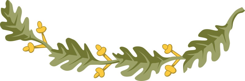 Oak branch 3