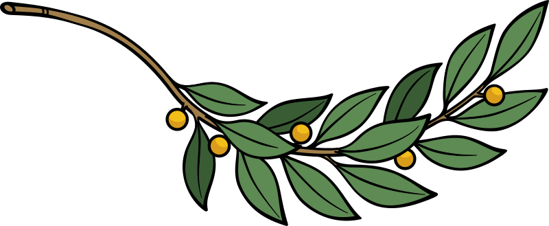 Laurel branch 7