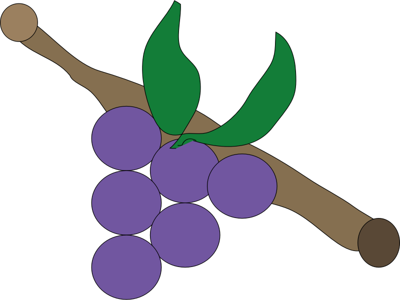 Purple grapes