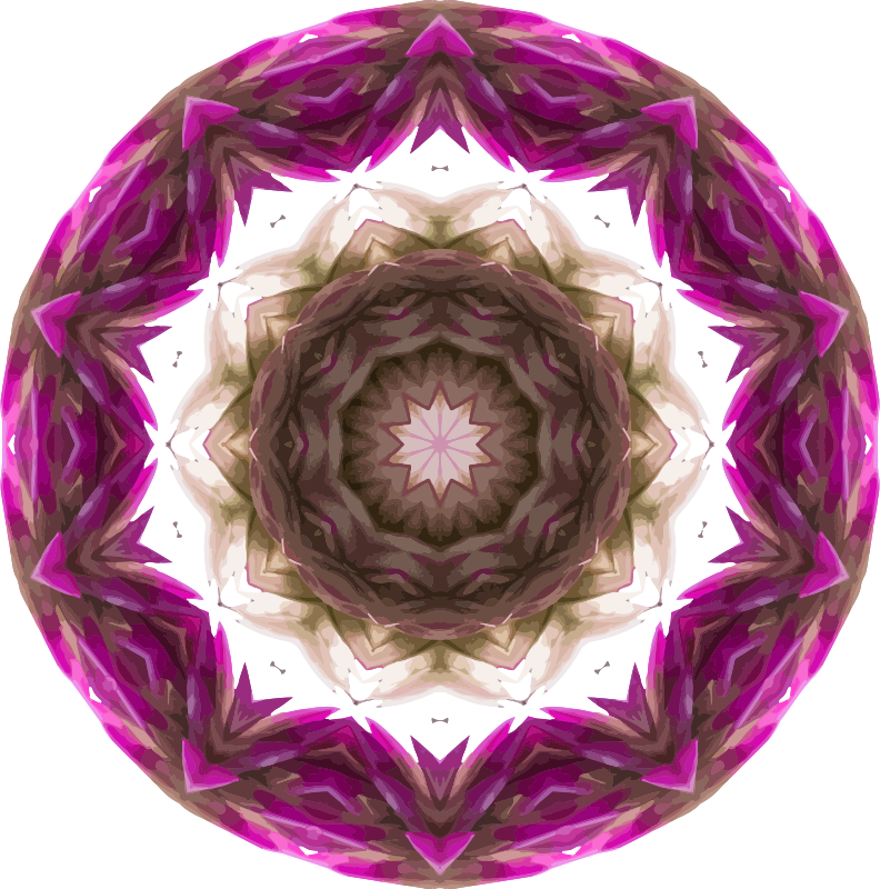 Wildflower kaleidoscope 6