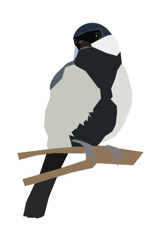 Japanese Tit on a twig