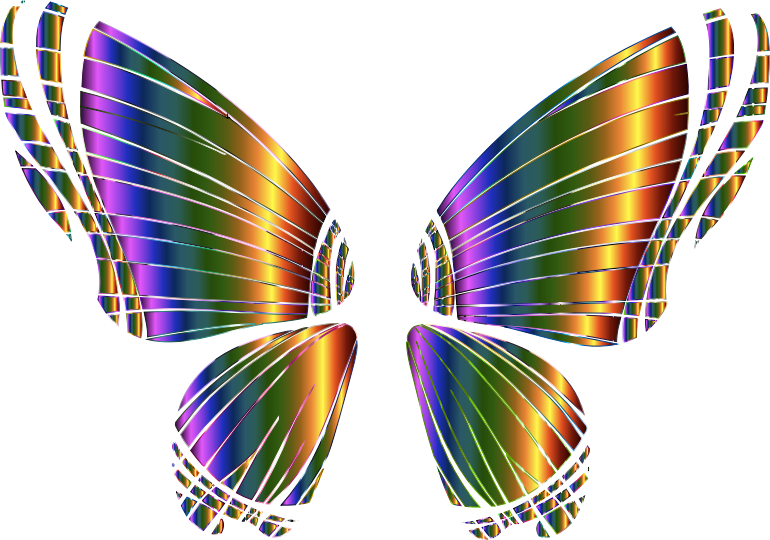 RGB Butterfly Silhouette 10 7 No Background