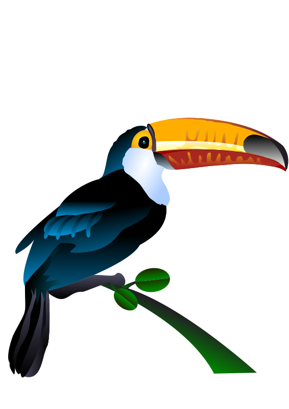 tucano