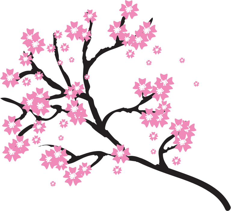 Cherry Blossoms