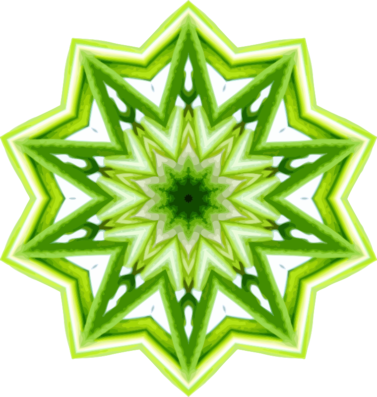 Rosemary kaleidoscope 9