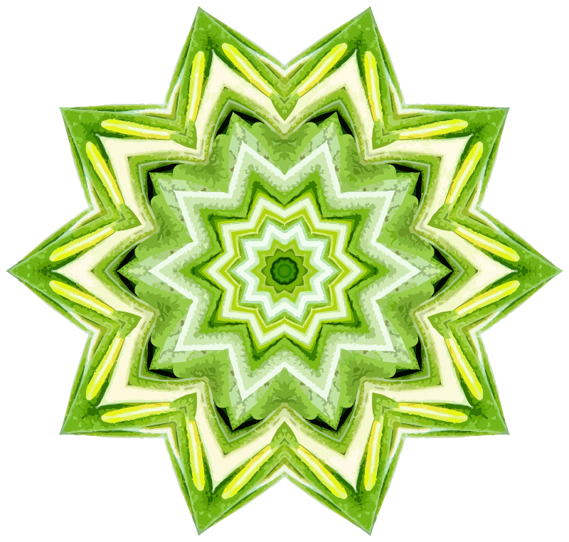 Rosemary kaleidoscope 14