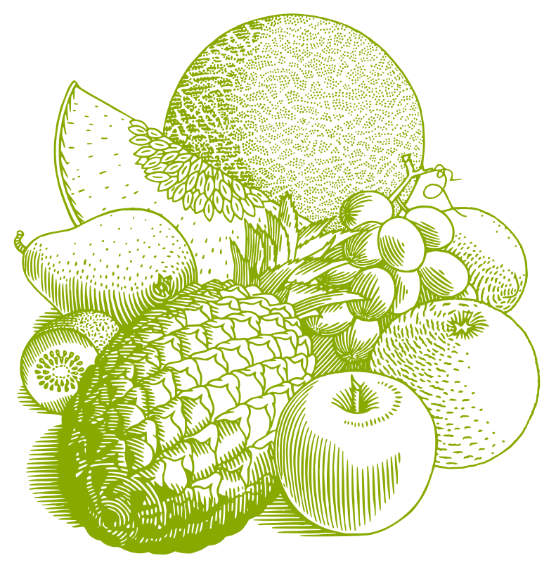 Fruits 02