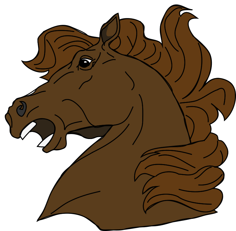 Architetto -- Cavallo 18