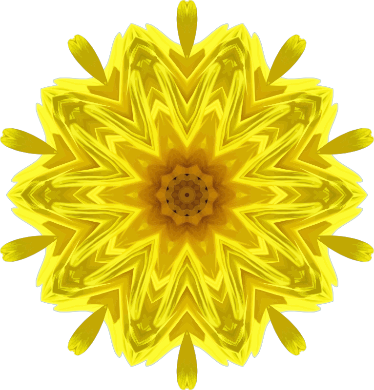 Sunflower kaleidoscope 2