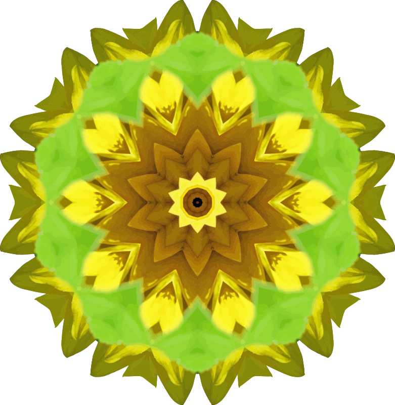 Sunflower kaleidoscope 6