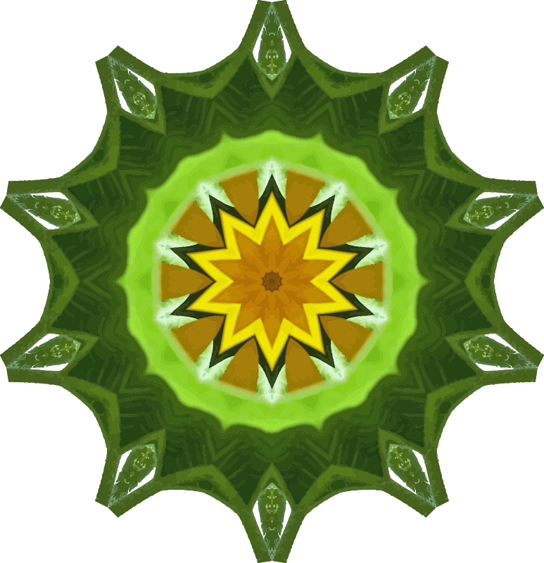 Sunflower kaleidoscope 9