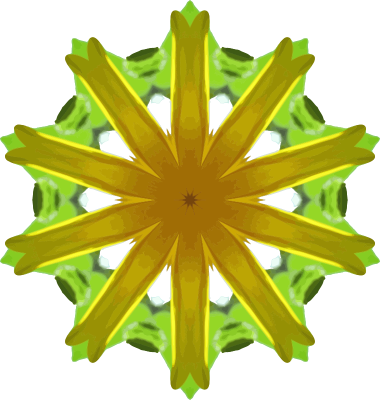 Sunflower kaleidoscope 10